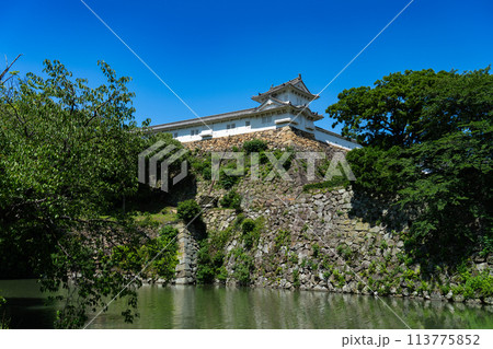 【世界遺産 姫路城】【日本100名城】内堀とワの櫓と渡櫓2　兵庫県姫路市 113775852