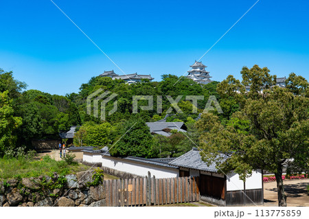 【世界遺産 姫路城】【日本100名城】好古園越しの天守と西の丸1 兵庫県姫路市 【世界遺産 姫路城】【日本100名城】好古園越しの天守と西の丸1 兵庫県姫路市 113775859