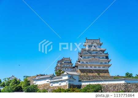 【世界遺産 姫路城】【日本100名城】三の丸から見た天守群2　兵庫県姫路市 113775864