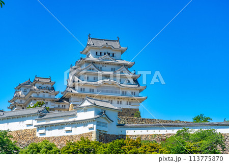 【世界遺産 姫路城】【日本100名城】三の丸から見た天守群7 兵庫県姫路市 【世界遺産 姫路城】【日本100名城】三の丸から見た天守群7 兵庫県姫路市 113775870