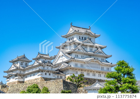【世界遺産 姫路城】【日本100名城】青空と天守群1 兵庫県姫路市 【世界遺産 姫路城】【日本100名城】青空と天守群1 兵庫県姫路市 113775874
