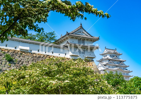 【世界遺産 姫路城】【日本100名城】西の丸カの櫓と大天守 兵庫県姫路市 【世界遺産 姫路城】【日本100名城】西の丸カの櫓と大天守 兵庫県姫路市 113775875