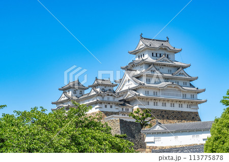 【世界遺産 姫路城】【日本100名城】青空と天守群4　兵庫県姫路市 113775878