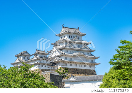 【世界遺産 姫路城】【日本100名城】青空と天守群5　兵庫県姫路市 113775879