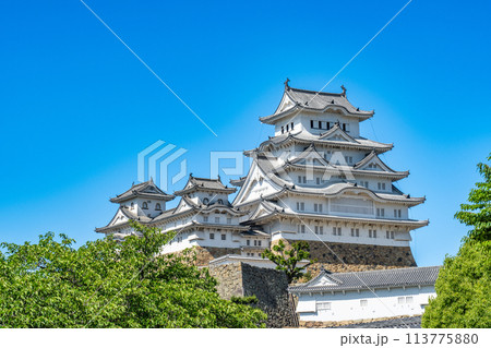 【世界遺産 姫路城】【日本100名城】青空と天守群6　兵庫県姫路市 113775880