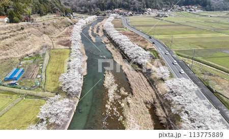 三次市三和町【美波羅川千本桜】空撮_No20 三次市三和町【美波羅川千本桜】空撮_No20 113775889