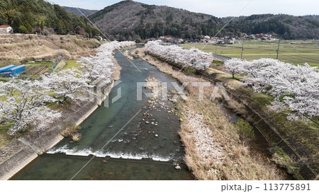 三次市三和町【美波羅川千本桜】空撮_No22 三次市三和町【美波羅川千本桜】空撮_No22 113775891