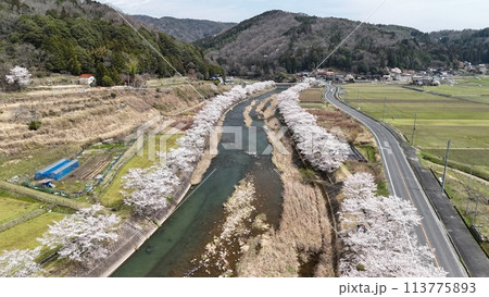 三次市三和町【美波羅川千本桜】空撮_No24 113775893