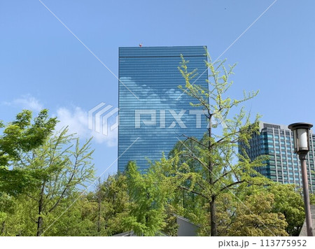 雲が写る高層ビル 113775952