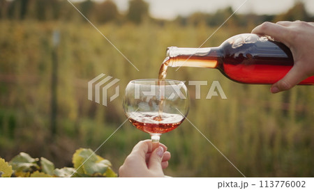The taster pours red wine into a glass against the backdrop of vineyards. Slow motion 4k video The taster pours red wine into a glass against the backdrop of vineyards. Slow motion 4k video 113776002