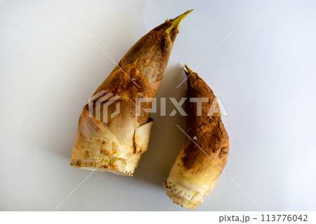 春の味覚　孟宗竹　タケノコ 113776042