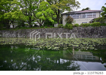 小田原城にあるお堀 113776263