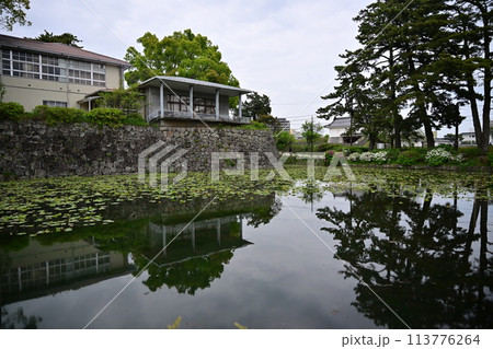 小田原城にあるお堀 113776264