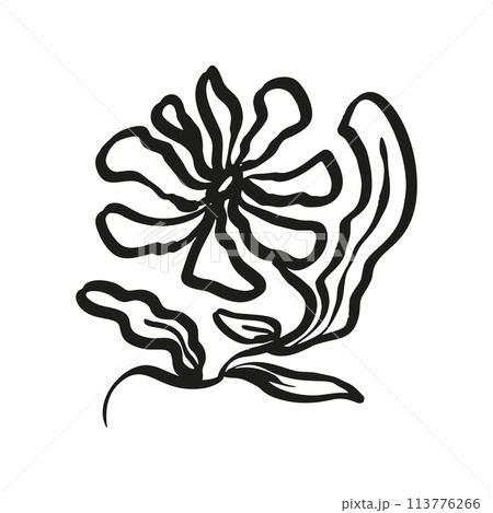Ink brush abstract flower sketch isolated on white 113776266