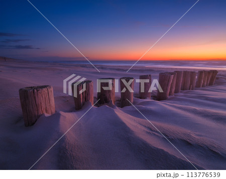 Seascape during sunrise. Logs in the sand. Bright sky during sunset.  113776539