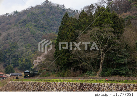 豪華寝台列車 113777051