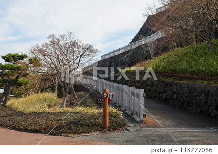 山梨県　甲府市　舞鶴城公園 113777086