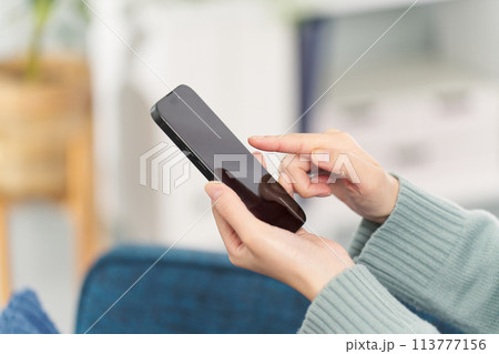 リビングでスマートフォンを操作する女性 リビングでスマートフォンを操作する女性 113777156