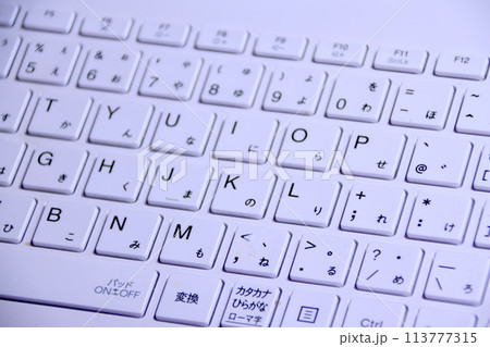 シンプルなキーボード 113777315