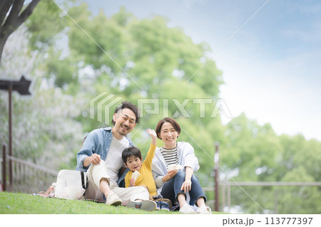 公園でピクニックをする家族 カメラ目線 113777397