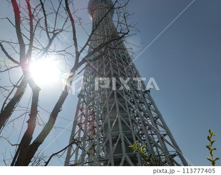 三月の東京スカイツリーの景色-38 113777405