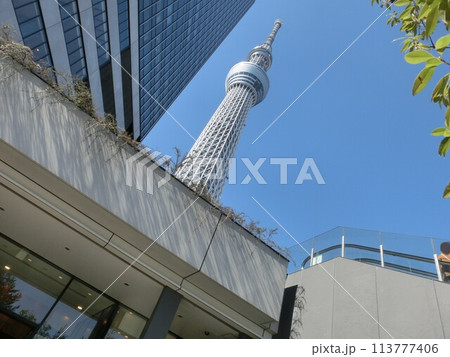三月の東京スカイツリーの景色-31 113777406
