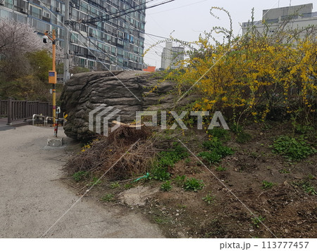 the road to the city 113777457
