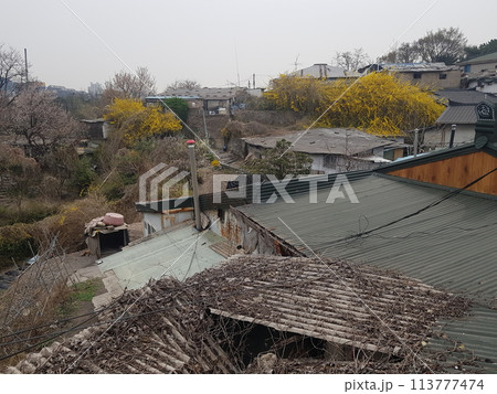 the road to the city 113777474