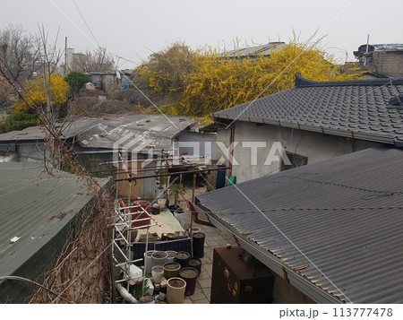 the road to the city 113777478