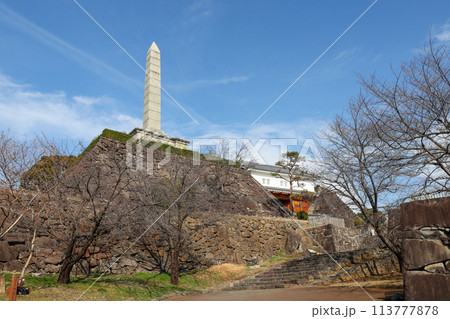 山梨県　甲府市　舞鶴城公園　鉄門 113777878