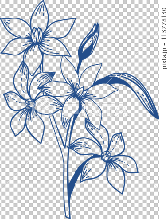 White flax flowers. Garden plants. Hand drawn illustration. Blue drawing. White flax flowers. Garden plants. Hand drawn illustration. Blue drawing. 113778130