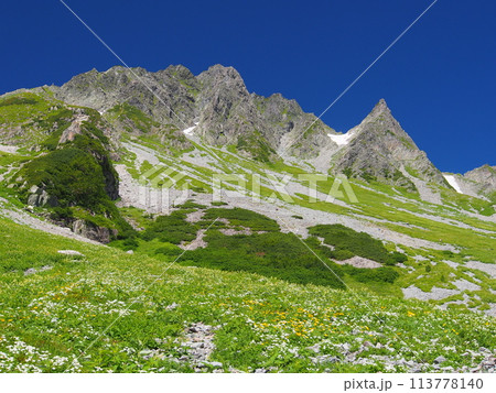 夏の涸沢カールと涸沢岳 113778140