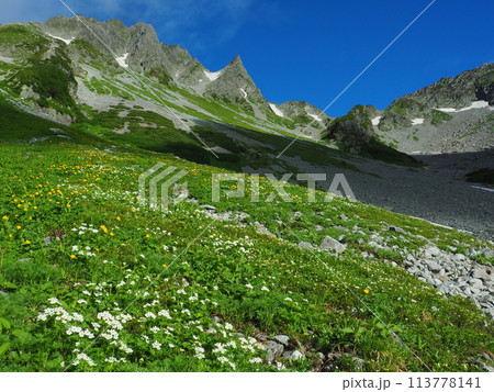 夏の涸沢カールと涸沢岳 夏の涸沢カールと涸沢岳 113778141