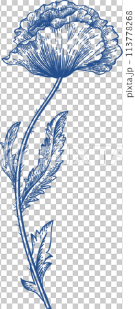 Poppy. Blooming poppy. Vintage hand drawn illustration. Blue. Linear art. 113778268