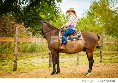 Cowgirl doing horse riding on countryside meadow Cowgirl doing horse riding on countryside meadow 113778436