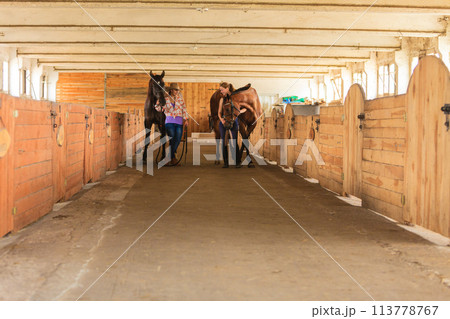 Cowgirl and jockey walking with horses in stable 113778767
