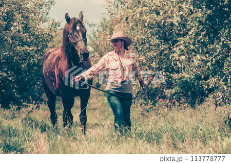 Western woman walking on green meadow with horse Western woman walking on green meadow with horse 113778777