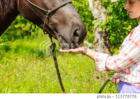 Young woman girl feeding horse. Young woman girl feeding horse. 113778778