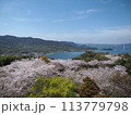 開山公園の鮮やかな春 113779798
