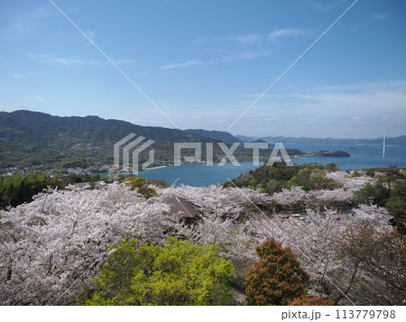 開山公園の鮮やかな春 113779798