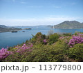 開山からみる春穏やかな瀬戸内海 113779800