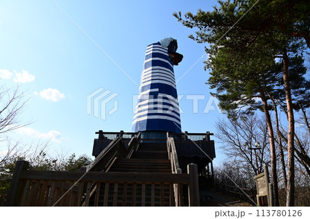 春の大迫（向山森林公園） 113780126
