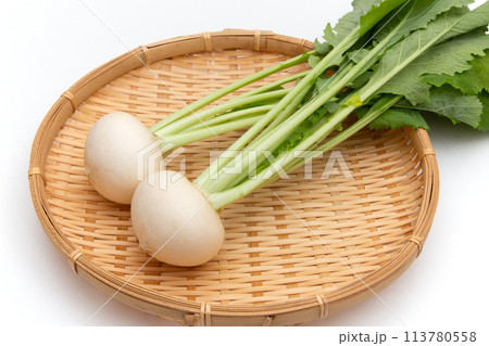 小カブ（白カブ） 113780558