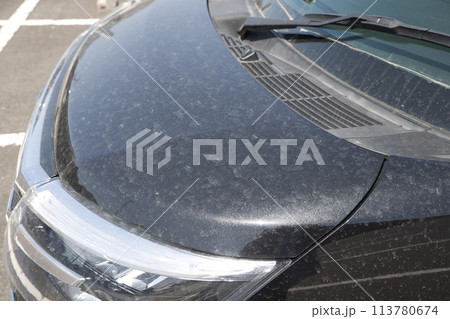 黄砂で汚れた自動車のボンネット 黄砂で汚れた自動車のボンネット 113780674