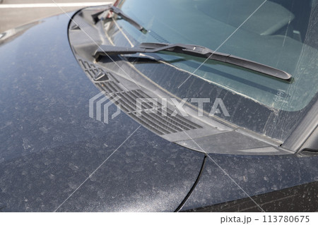 黄砂で汚れた自動車のボンネット 黄砂で汚れた自動車のボンネット 113780675