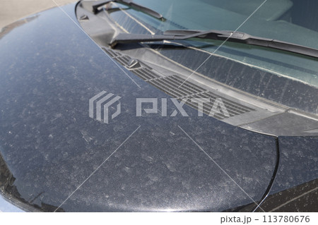 黄砂で汚れた自動車のボンネット 黄砂で汚れた自動車のボンネット 113780676