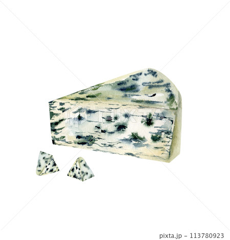 Watercolor fresh organic food illustration. Cheese with blue mold , healthy snack for packing, menu, restaurant design. 113780923