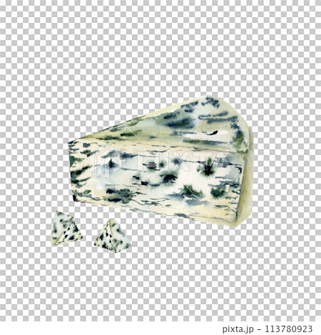 Watercolor fresh organic food illustration. Cheese with blue mold , healthy snack for packing, menu, restaurant design. 113780923