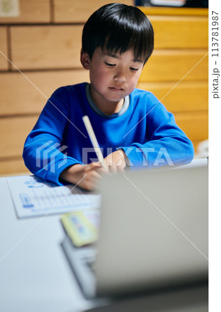 オンライン授業で国語を勉強する小学生の男の子 113781987