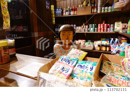 こどもの国際理解展示室 113782131